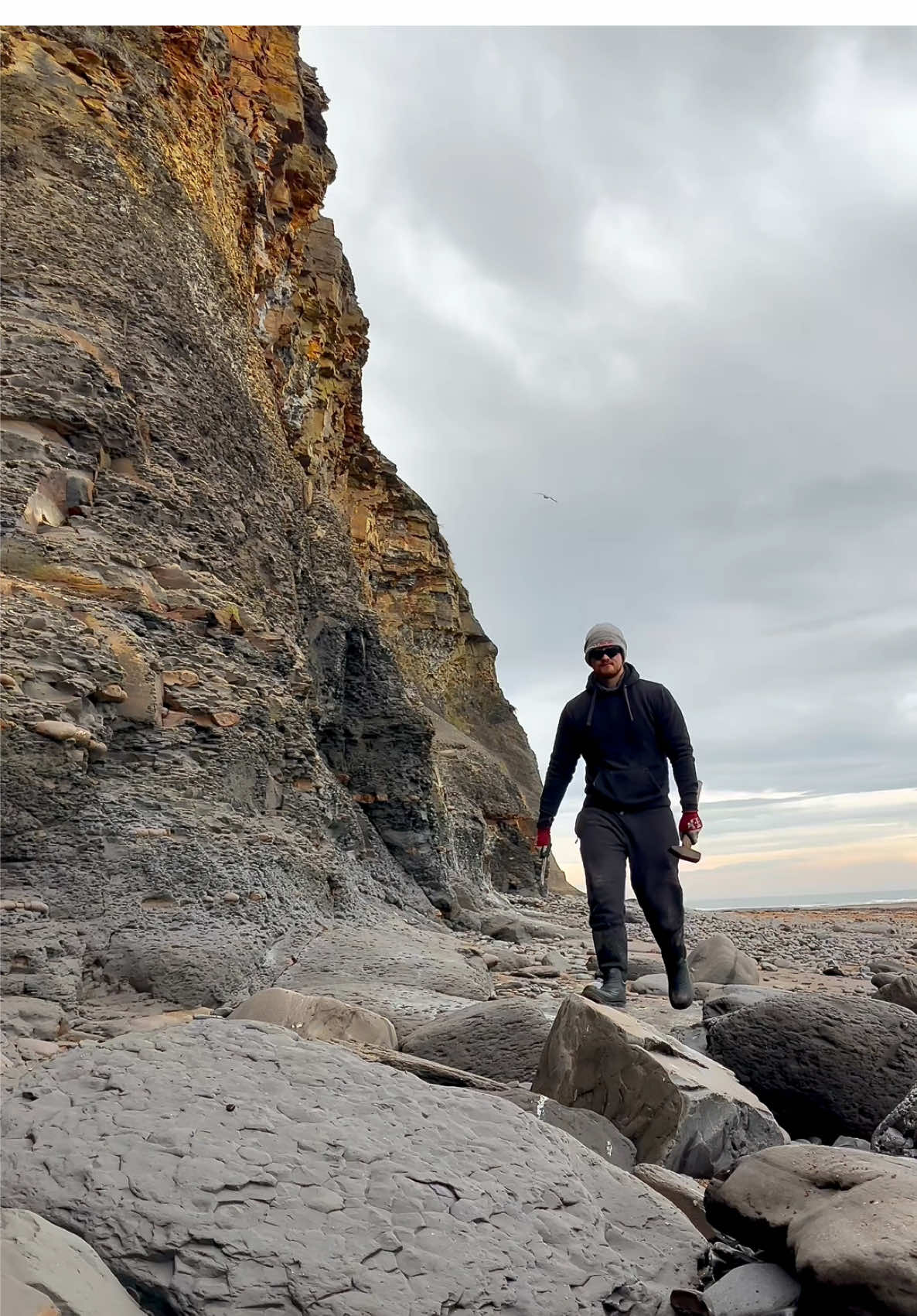 Here are some Jurassic rocks that we found and opened up on the beach🏝🌊 The loose shale slab had been part of a huge landslide which had revealed some material perfect for containing Jurassic fossils. Inside, a beautiful Ammonite fossil that we can take home and prepare with the tools at home! 😵‍💫😱 it’s roughly 180 million years old! 🏝 Thanks for supporting our page! 🐊 #natural #nature #fossil #fossils #ancient #animals #art #ammonite #ammonites #dinosaur #scientist  #minerals #paleontology #whitby #geologist #dorset #geology #charmouth #jurassic #yorkshire #beach #coast #sea #water #squid #fyp