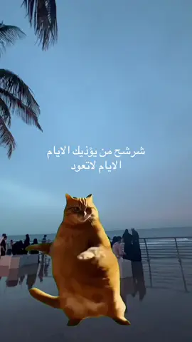 #Meme #MemeCut الصدق🐆