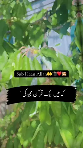 #CapCut Quran Pak ki ek piyari Aayat 🤲🕋❤️🕌#foruyou #islamic_video #allah❤️ #iloveallah13938 #quran 