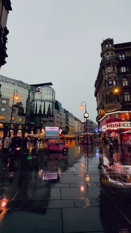 I’m in love with this city! ❤️❤️ #vienna #rainyvienna #austria #rainydays #viennatravel #rainymood #citylife #travelvienna #viennalife #eveningvibes #wien #wienliebe 