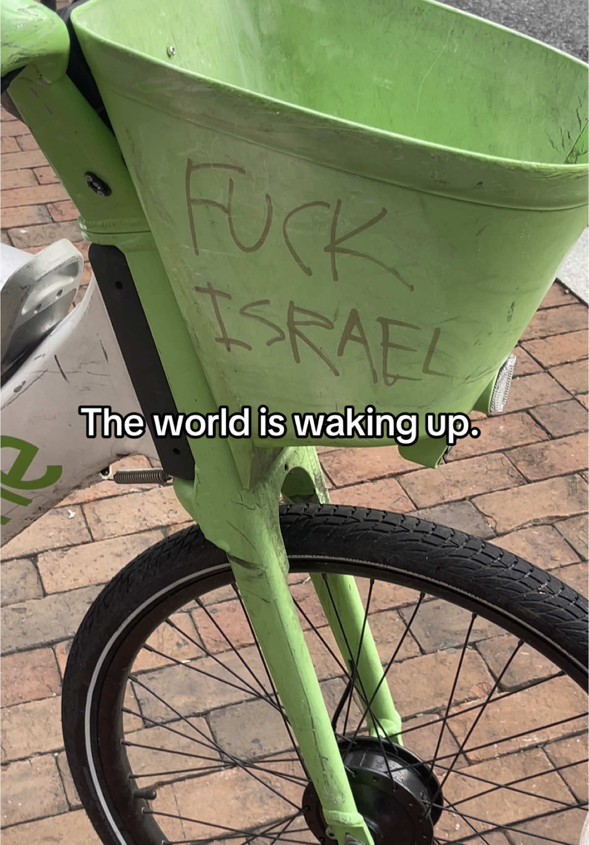 Just saw something beautiful on my walk #fyp #foryou #explore #fypシ #viral #tiktok #muslim #muslimtiktok #arab #noticing 