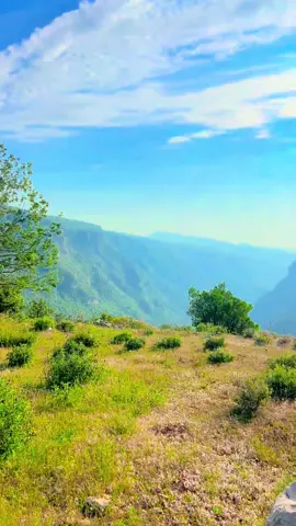 مشمش عمار لبنان mechmech Akkar Lebanon  #لبنان #جمال_الطبيعة #الربيع #زهور_الربيع #جبال_لبنان #مناظر_طبيعية   #هدوء #منظر_خلاب #سكون #سحر_الطبيعة #ربيع #لبنان_جميلة   #طبيعة_عربية #الوطن_العربي #الطبيعة_في_العالم_العربي #خضرة #ضباب_الصباح #نسيم_الجبال #Lebanon #ArabNature #SpringVibes #MountainView #SerenityNow #NatureLovers   #ScenicLebanon #PeacefulPlaces #ArabianScenery #HiddenGems #NatureInBloom #ArabMountains   #ExploreLebanon #greenescape 