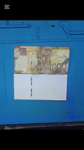 #fbiopenup #fake #tiktokchallenge #kenyantiktok🇰🇪 #funnytiktokchallenge #foryou #fyp 