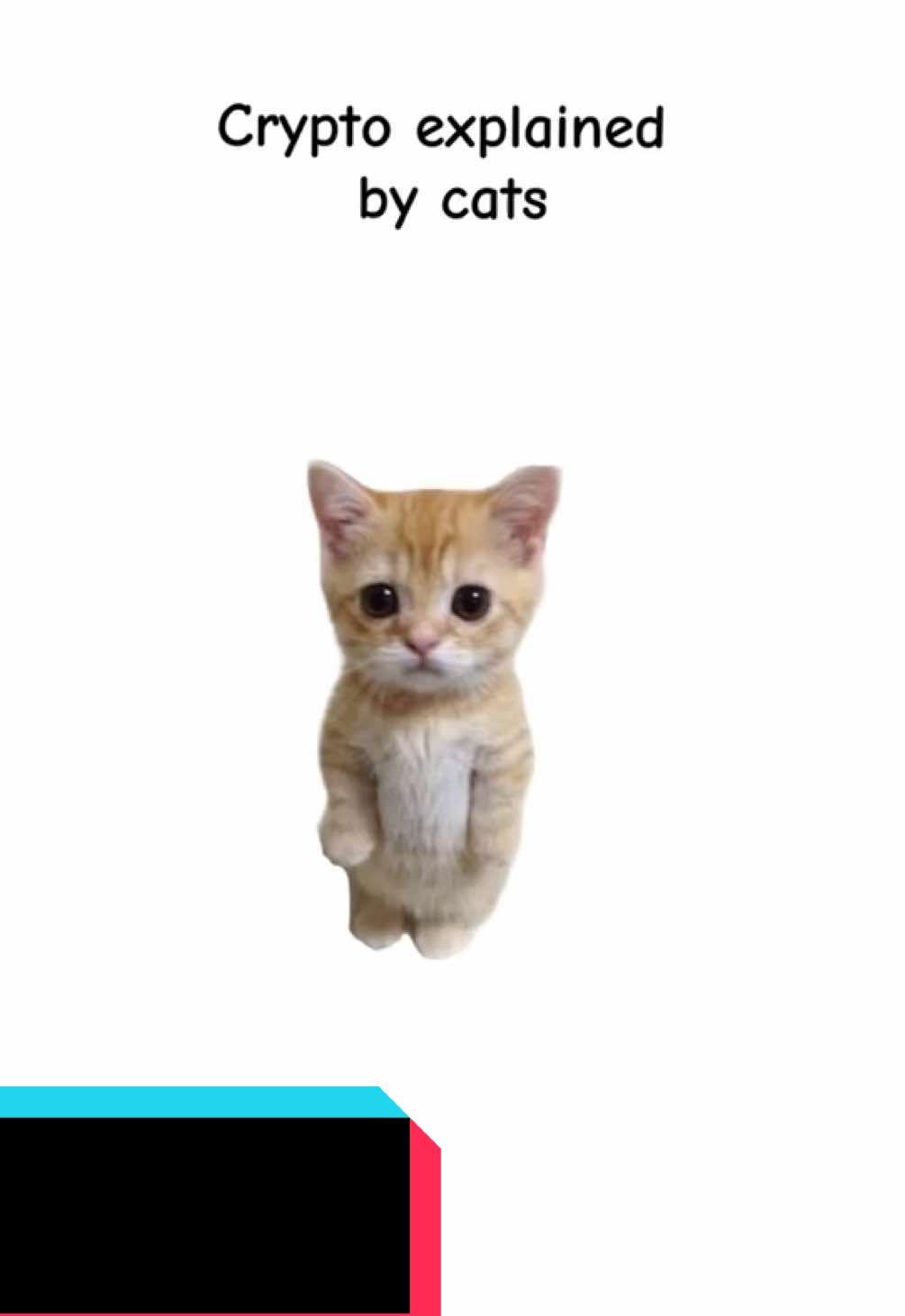 Kitty explain crypto
