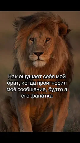 #брат #recommendations 