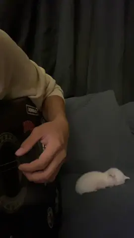 You're Gonna Live Forever in Me - John Mayer (cover) ft. eepy car #youregonnaliveforeverinme #johnmayer #cover #fypage #fy #eepycat #fuppppppppppppppppppppppppp 