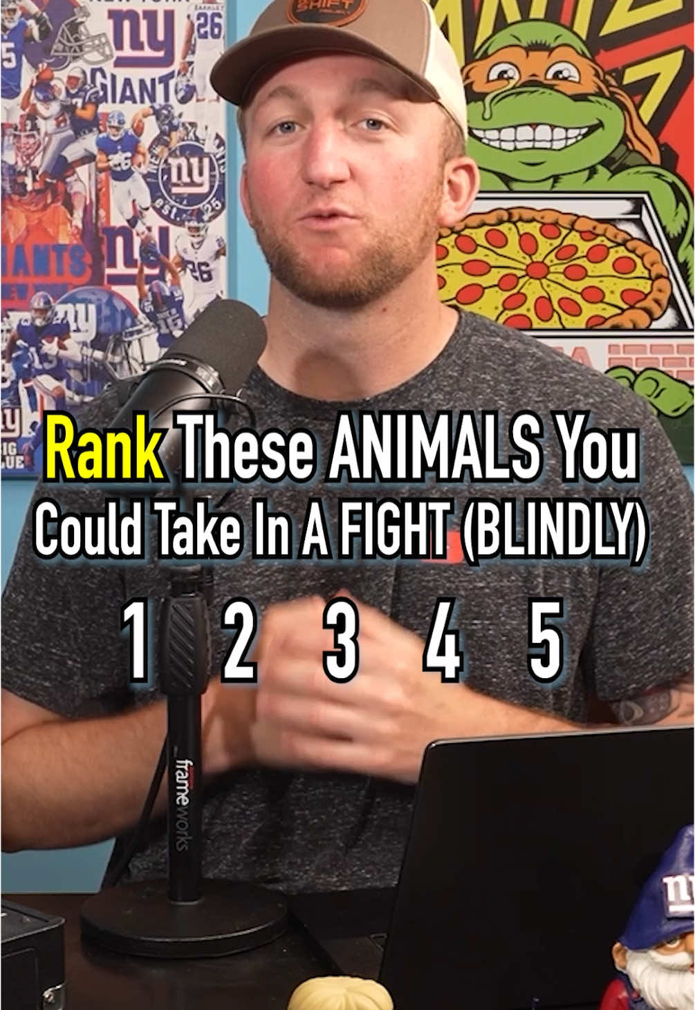 Ranking Animals To Take In A Fight! Which Is Hardest? #fyp #animals #fight #battle #rank 