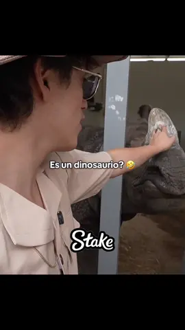 Esa Zully se pasa #kick #diealis #parati #Viral #zully #foryou #fyp #clip #perú #humor #broma #pov #viralreels #stream #xd #yaniz #matt 