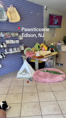 #nj#edison #edisonnj #petgrooming 