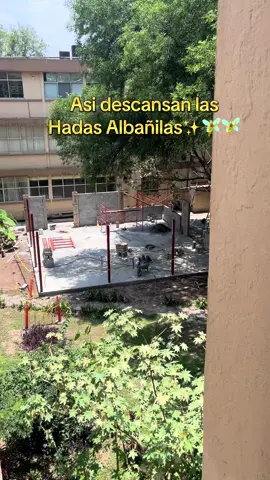 Asi descanzan las hadas albañilas o hadas de la construcción 🧚‍♂️🧚‍♂️ #hadas🧚‍♀️ #tinkerbell #albañiles #construction #uanl 