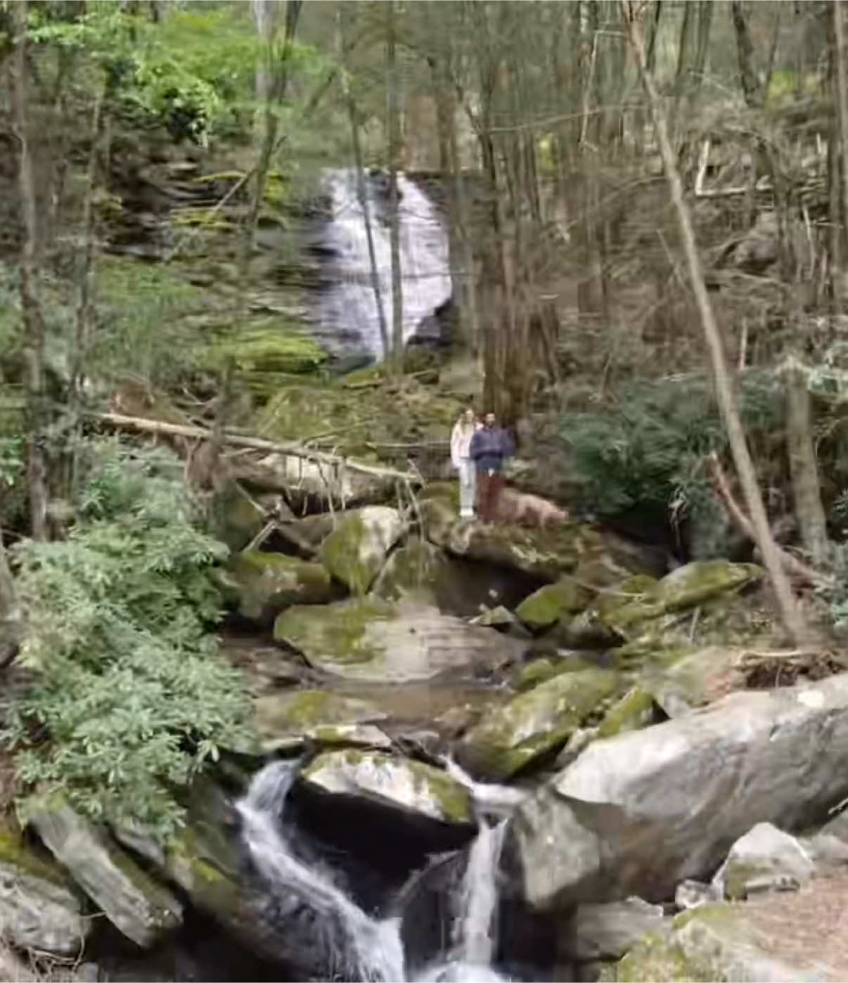 POV: You discover a gorgeous waterfall on your 44 acre property in Appalachia 😍💙🌲 #explorer #wilderness #nature #entrepreneur 