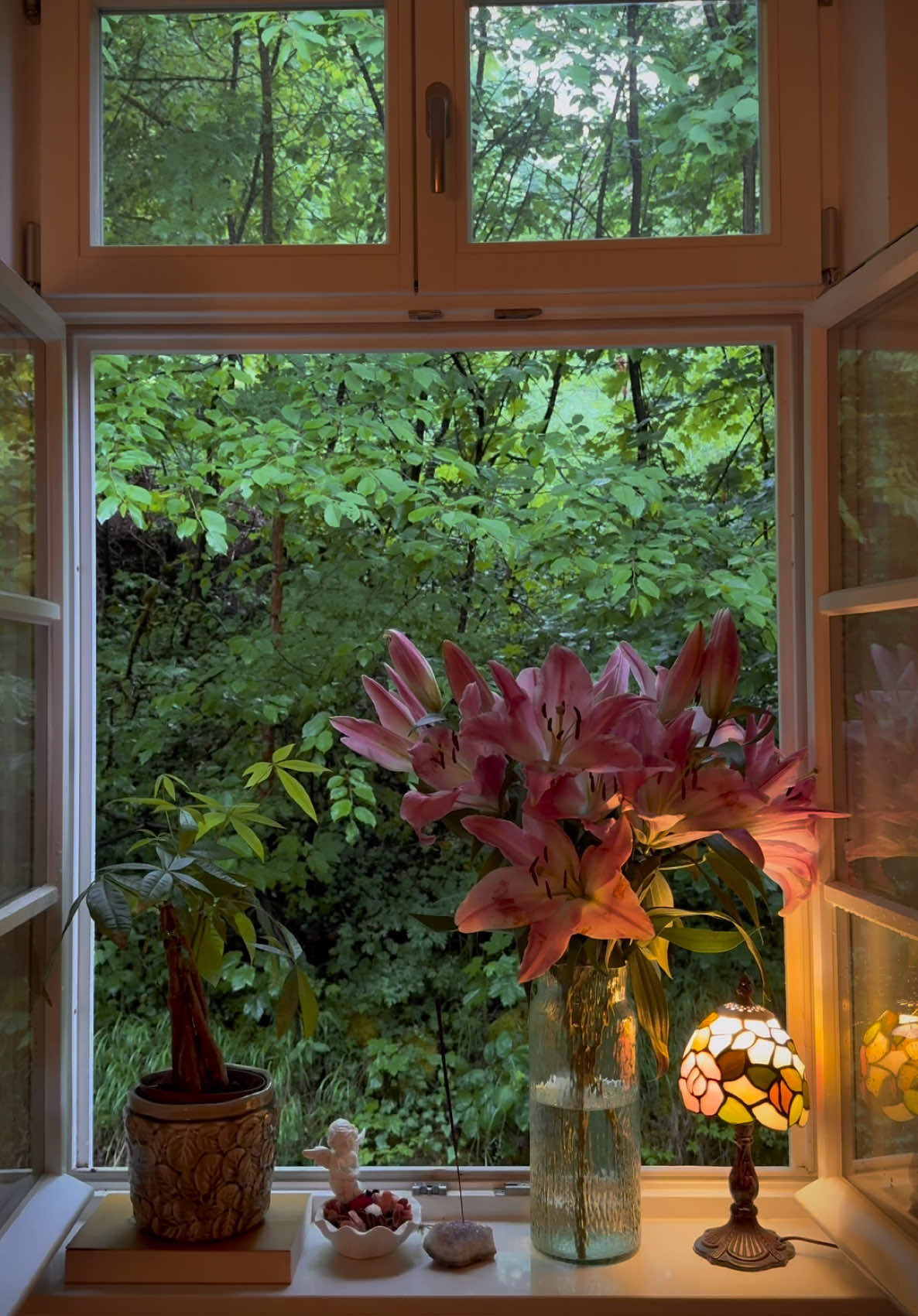 the view from my window, that’s all #windowview #softaesthetic #quietmoments #cmbynvibes #sufjanstevens #eveninglight #homesweethome #aestheticvideo #naturefromhome #romanticcore #summernights #callmebyyourname 