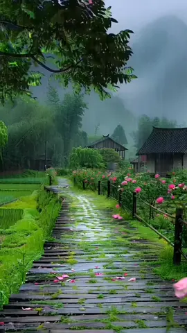 #🌿🍁🎄🍁⚡🌩️🌳 