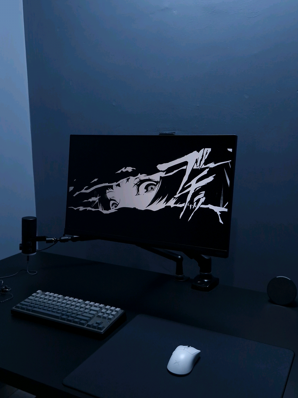 Estou apaixonado nesse monitor 🫠🫶🏻 #pcgamer #techtok #GamingSetup #monitor #fyp #allblack 