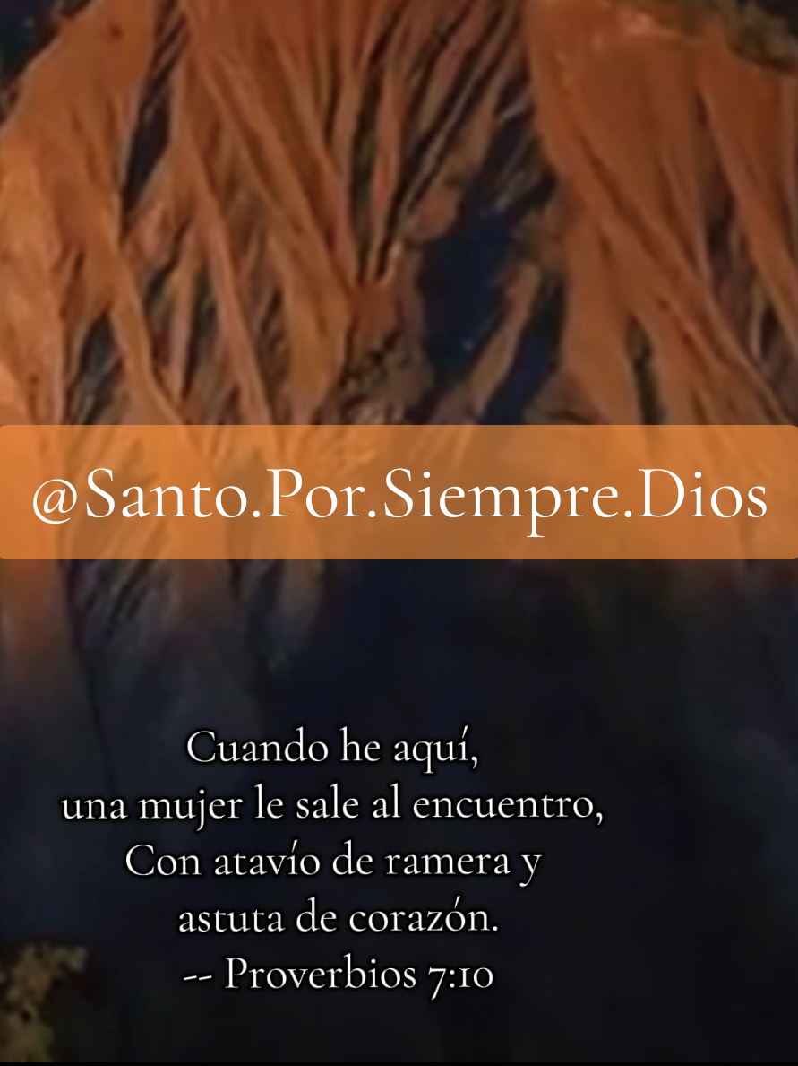 te funciona todo lo que nos enseña te llenas avispas tu boca de mentiras  #reflexionescristianas #cristianos #dios #reflexionesdelavida #consejocristiano #consejosdevida #leccionesdelavida #reflexionespositivas 