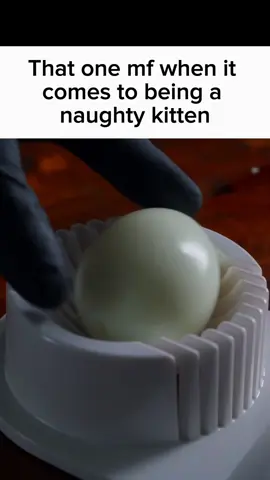 Bad kitty #naughty #kitten #thatonemf #funny #bro #tag #goviral #fyppppppppppppppppppppppp 