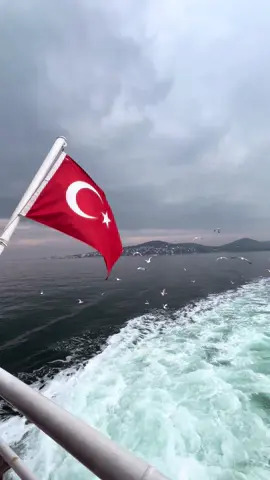 🌊 💙 . . . . . #اسطنبول🇹🇷 #تركيا #البحر#أغاني_تركية #منظر_جميل #روقان #أبوظبي #نوارس #istanbul #turkey#uae #abudhabi #istanbulvibes #mood #sea #turkish #trending #belki #belkideyanlıştıdoğrularım #