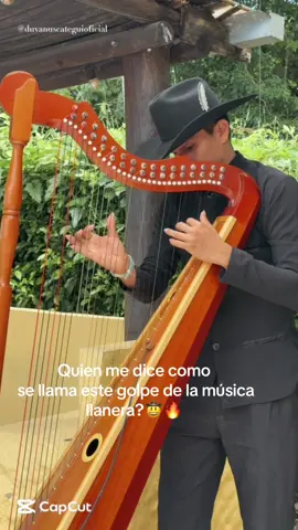 Quien me dice como se llama este golpe de la música llanera? 🤠🔥.                                                    Producción: @zibaagency_ #duvanuscategui #duvanuscateguioficial #elcriollopolifacetico #joropo #pajarillo #arpa #criollo #llanera #elcriollopolifacetico 