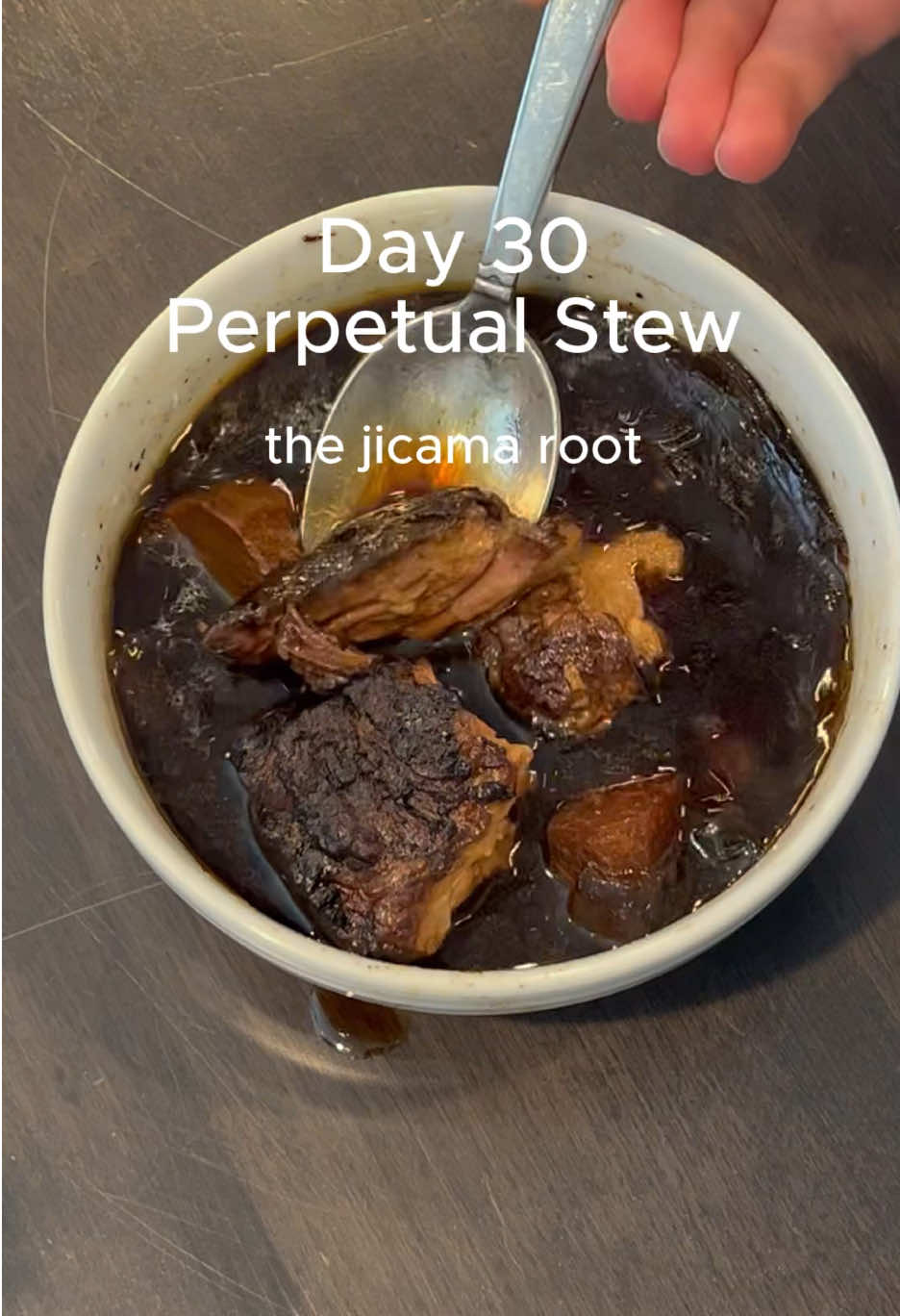 #perpetualstew #foreversoup #soup #stew #lazycooking 