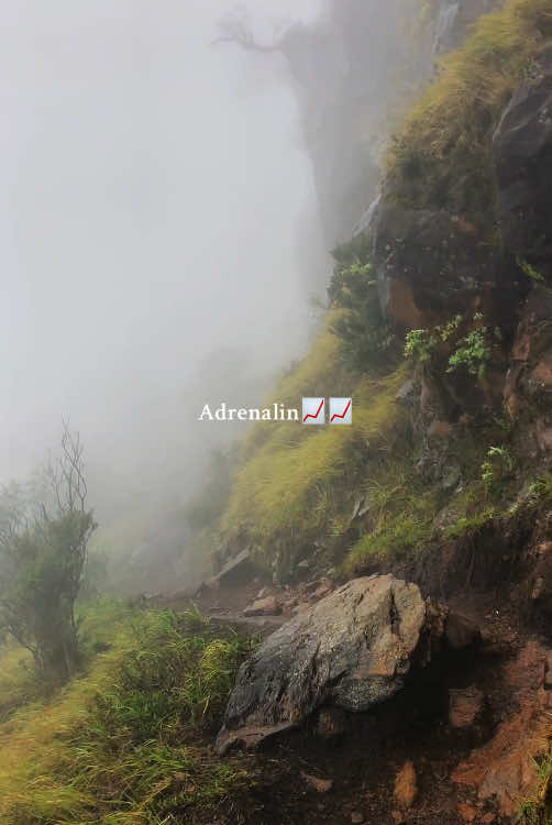 sebenarnya resiko klo naik di musim yg ga menentu gini, tpi tetep ajah klo ngeliat kabut begini bawaan nya pengen doa mulu🥲  #gunungsumbing #pendakigunung #pegunungan #viagarung #adrenalin #gunungsumbing3371mdpl 