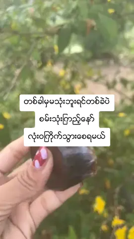 #သံုးဘူးသူတိုင္းအရမ္းႀကိဳက္ #ေမျမတ္မြန္#ဘုတလတ္ဆပ္ျပာ#ထိုင္းနိုင္ငံေနရာအနွံ႔ပို႔ေပးပါတယ္ေနာ္💕 #fypシ゚ #foryou #foryoupage #