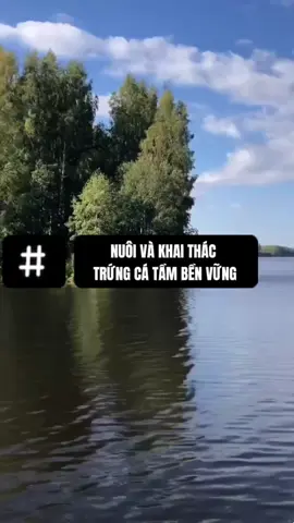 🌍 Trứng cá tầm bền vững – Sang trọng nhưng có trách nhiệm! 🐟✨ Không chỉ là món ăn tinh tế, trứng cá tầm bền vững còn giúp bảo vệ thiên nhiên! Nuôi dưỡng kỹ lưỡng, khai thác có trách nhiệm, mỗi hạt trứng đều mang giá trị đẳng cấp và ý nghĩa xanh! 💚 Thưởng thức đúng chuẩn – vừa tinh tế, vừa bền vững! 🌿 #caviarhouse #sangtrong #ẩmthực #trungcatam #nguyenhonggroup #caviar #trendingtiktok #viral