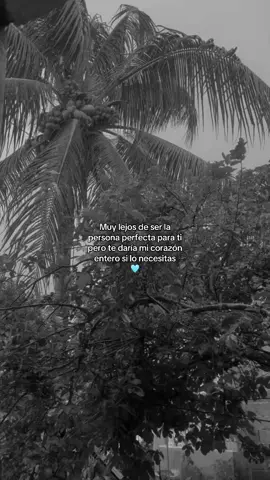#contenido #xbyzca #paratii #viralvideos #dedicarfrases #corazon #enamorado 
