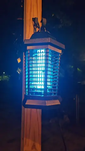 you can SMELL the little F$(#*#s when they get zapped! Gross, but yeah, SO satisfying, to see, hear, AND smell their fear and loathing and death! You will NOT be disappointed! You WILL be amazed at how many bugs you're gonna kill. Had NO idea it was going to work so well! I tried to take a short quick video for you.  #homegadgets #outdoorgear #electriciantools #homegadget #mosquitokiller