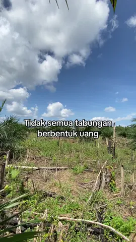 #sawitbangka 