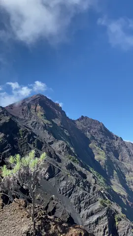 Siapa nih yang rindu punggungan rinjani☺️#7sembalunsumit #rinjani3726mdpl #lombok #indonesia 