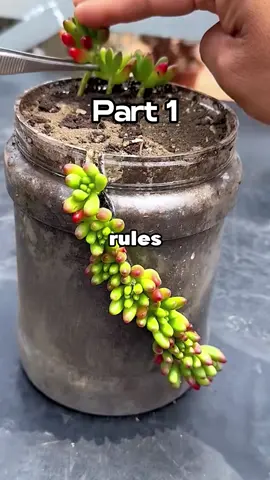 My wife created 20 new marriage rules—so I added just 1 rule that ended her game! Her control system collapsed instantly.   #reddit #redditstories #redditreadings #askreddit #reddit_tiktok #redditstorytime #storytime #foryou #fy