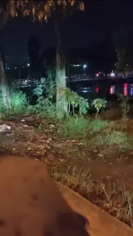 Jembatan terapung Cijeruk-Baleendah, Kabupaten Bandung dikabarkan ambruk, Jumat (23/5) malam. Detik-detik ambruknya jembatan itu terekam kamera warga yang sedang melintas. Sebagian kendaraan memilih mundur untuk menyelamatkan diri. Beruntung, dilaporkan tidak ada korban jiwa.(Radarbogor) _ 🎥: WAG via: Radar Bandung #radarbandung #baleendah #reelsinstagram