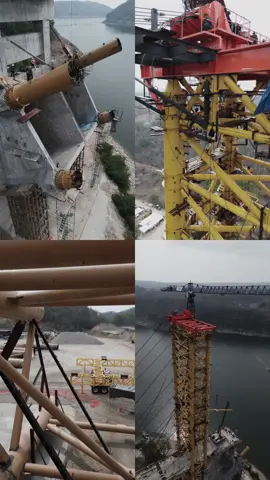 COCONAL 🦾 RIZO DE ORO #puenterizodeoro #ingenieriacivil #puentes 