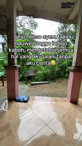 Faktanya memang begitu🙏😂😂  #trenggalek24jam #panggul24jam #fypdongggggggg #fyp #foryou #desavibes #vibesdesa #fypシ゚viral #foryoupage 