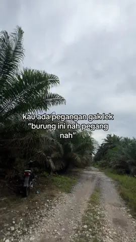 jangan lah bahasa duit untuk saat ini lek😌 #sawit🌴🌴 #kulisawit #bossawit🌴 #petanimuda #fyp 