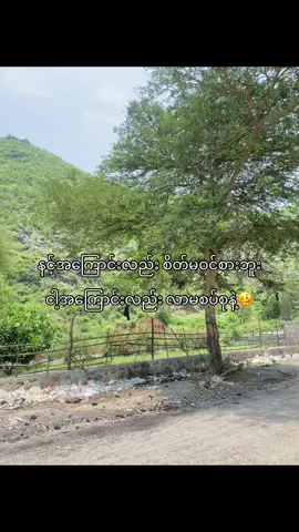 အာရုံတွေလာလာမနောက်နဲ့🫩#fyppppppppppppppppppppppp #viewsမတက်ရင်ပြန်ဖျက်မရ်🙄 #foryou #crd  #views #fypシ゚ 