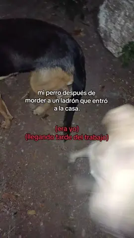 #paratiiiiiiiiiiiiiiiiiiiiiiiiiiiiiii #mascotastiktok #dimequeestasorgullososhifu 