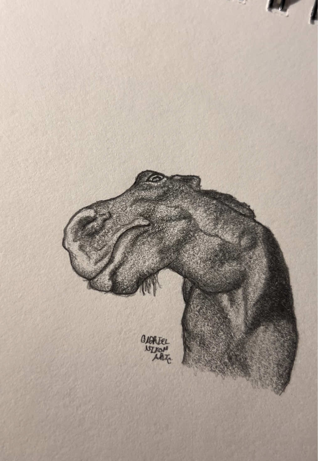 Who is this? Who are you?        Credit- thehorseknows/IG    #fyp #art #sketch #drawing #horse #linkinpark #foryouuuuuuuuuuuuu 