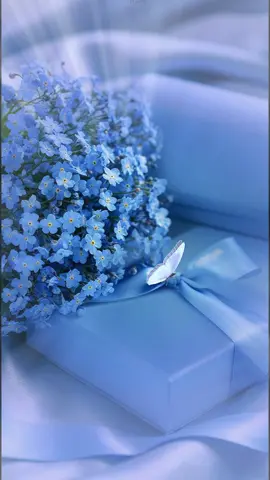 #من_سلم_امره_لله_اغناه_بغير_سبب_واعزه_بغير_عشيره #صباحكم_سعادهـ🌸🍃 #صباحكم_أحلى_صباح #صباحكم_معطر_بذكر_الله #صباحكم_أحلى_صباح_يااجمل_متابعين #صباح_الخير🌻🌹 #صباح_الورد #صباحات #صباحياتي #صباحيات_فيروز_والقهوة