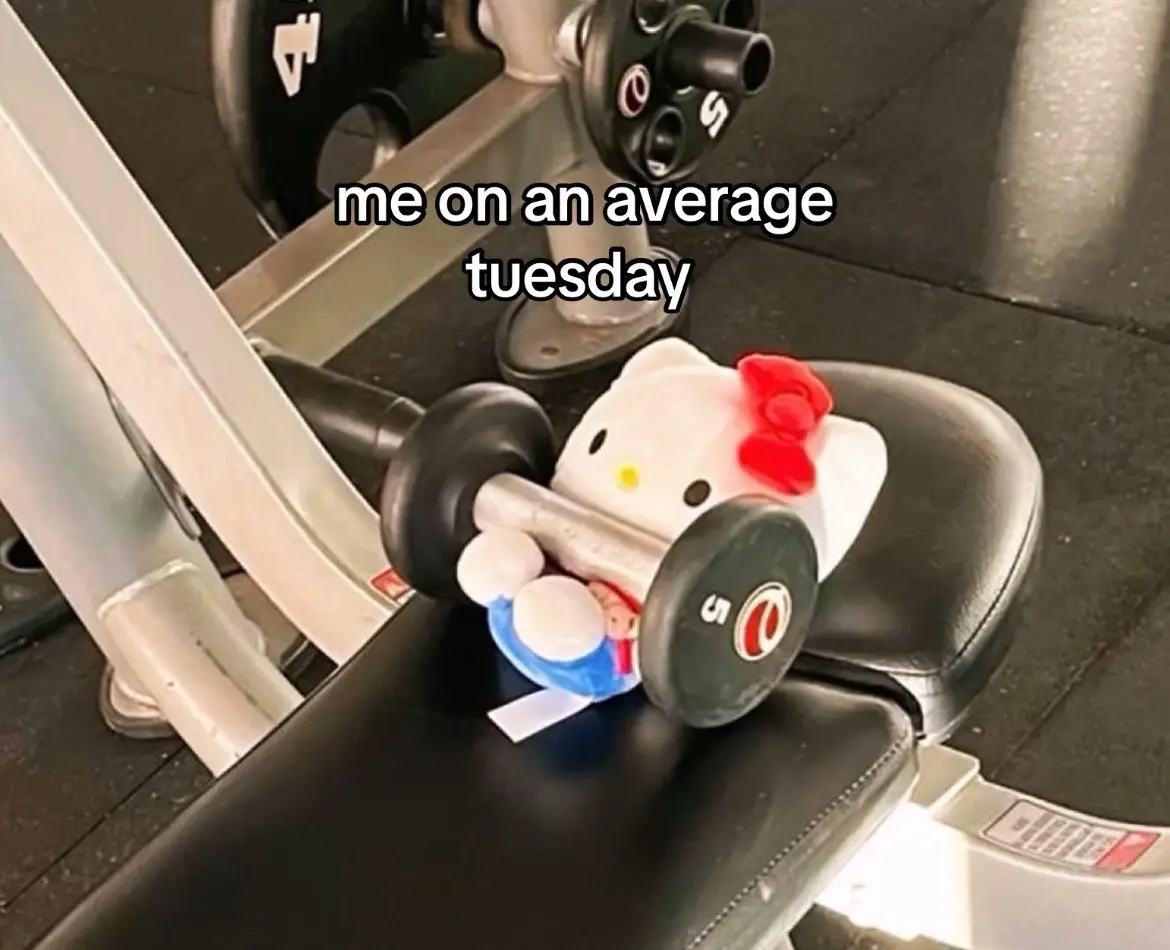 working or sumthing like that idk 🤷‍♀️ october to may 😛 #hellokitty #gym #yippee #she 