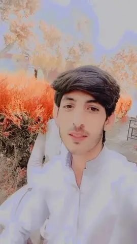 da tasver pa Zara ke Dard da be hesaba#foryoupage #viraltiktok @For You 