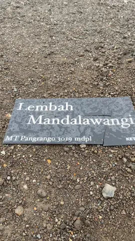 setenang ini mandalawangi#fypage#gunungindonesia#gunungpangrango 