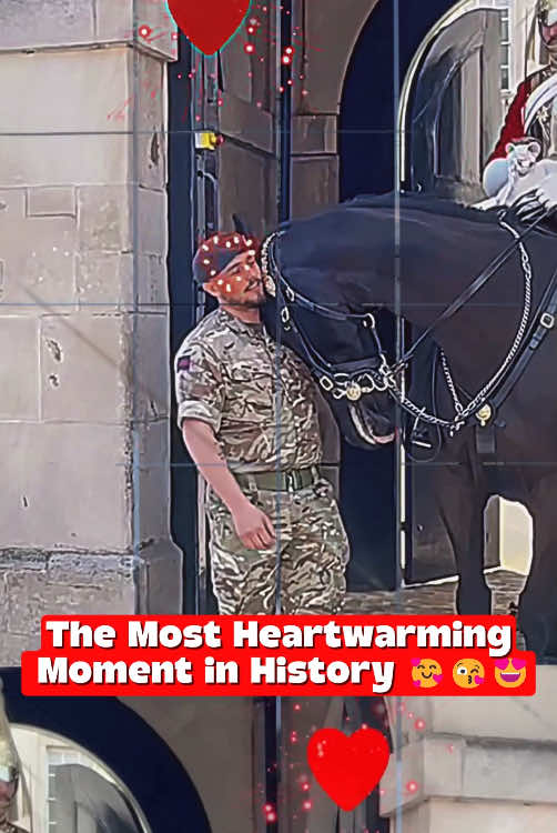 #kingsguard #peterellis #police #thekingguard #bukinghampalace #queensguard #kingguard #militarylife #horseguardsparade 