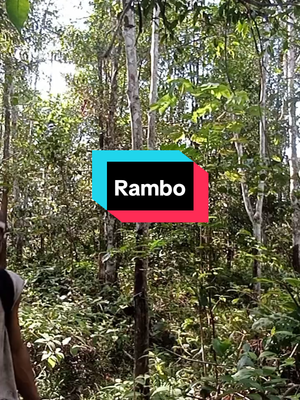 Rambo part 1#tiktokviral #tiktokviral 