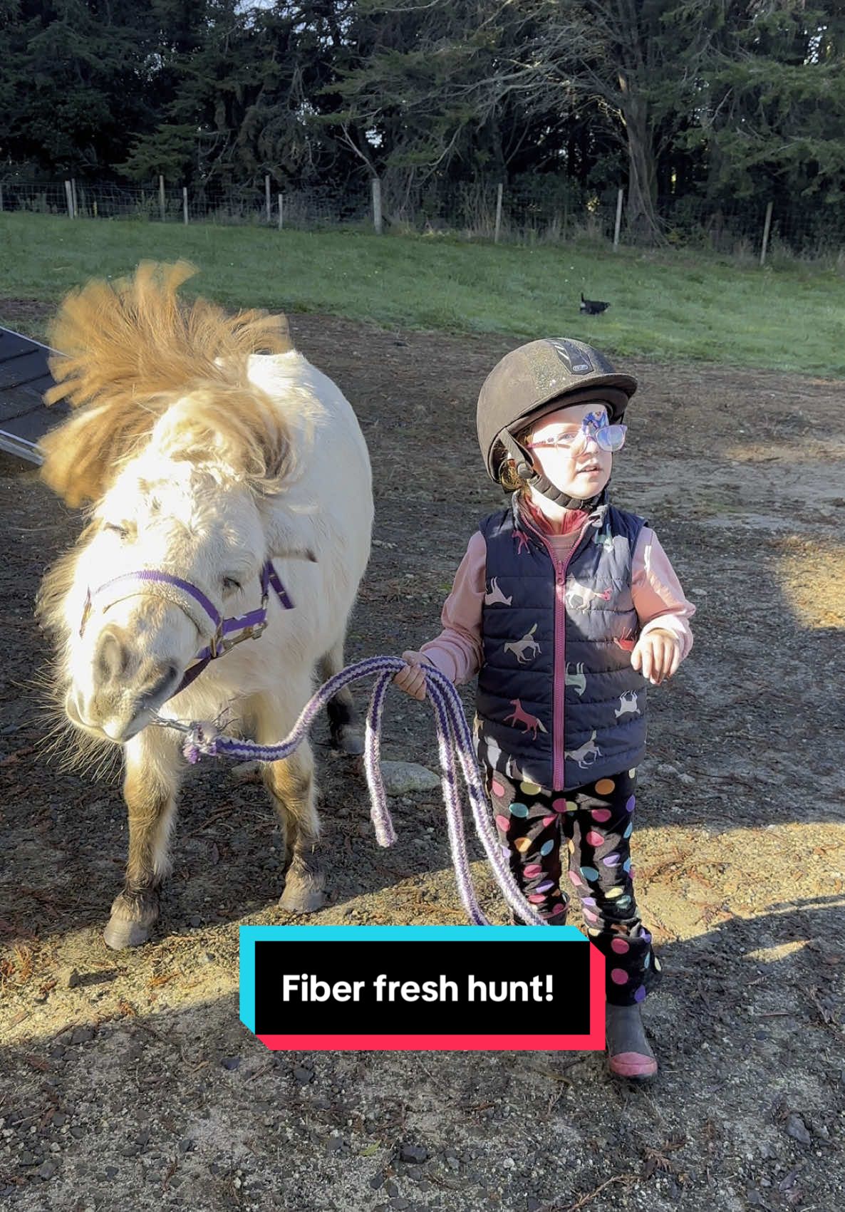Another weekend spent well with my bestie at the @Fiber Fresh Hunt!🤍 #loveofmylife #blessed #bestfriend #toddlersoftiktok #ponymad #toddler #Love #love #blessedlife #equestrianlife #ilovemyhorse #equestrian 