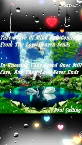 Take peace of mind and comfort from the love heaven sends In knowing your loved ones still care and their love never ends #poem #poetry #verse #words #quoteoftheday #photoquote #lightworker #positivity #motivation #life #loveyou 