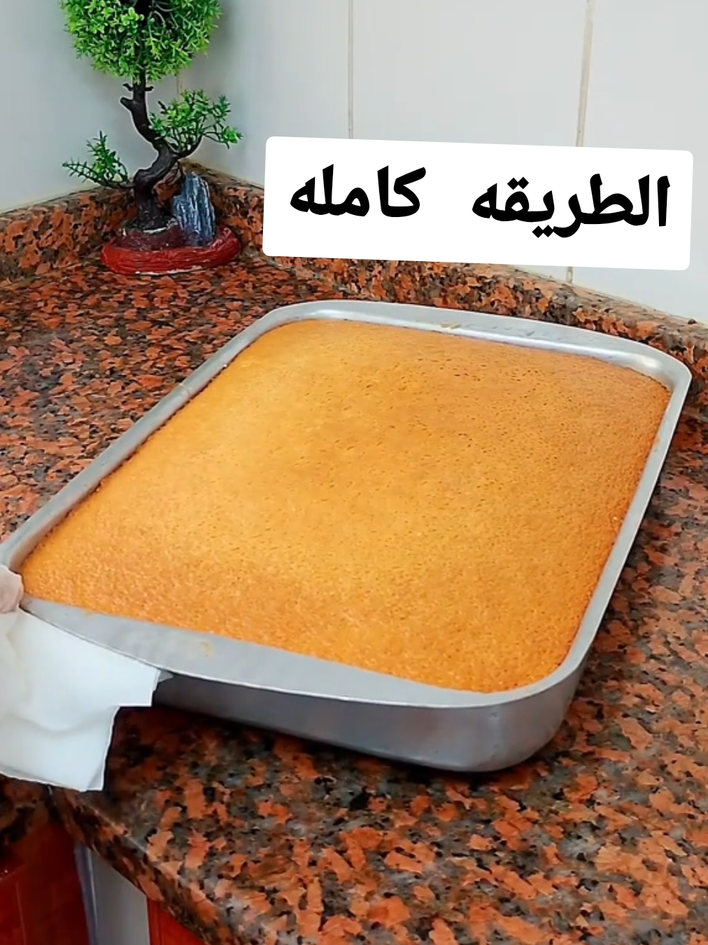 #كيكه_سهله_وسريعه #كيكه_الفانليا#مسلسلات_قديمه #instfood #اكلات_سريعة #فكره_سهله_وبسيطه #كيكه_الخلاط 