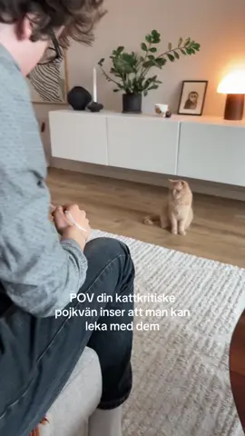 @Edvin Törnblom shoutout