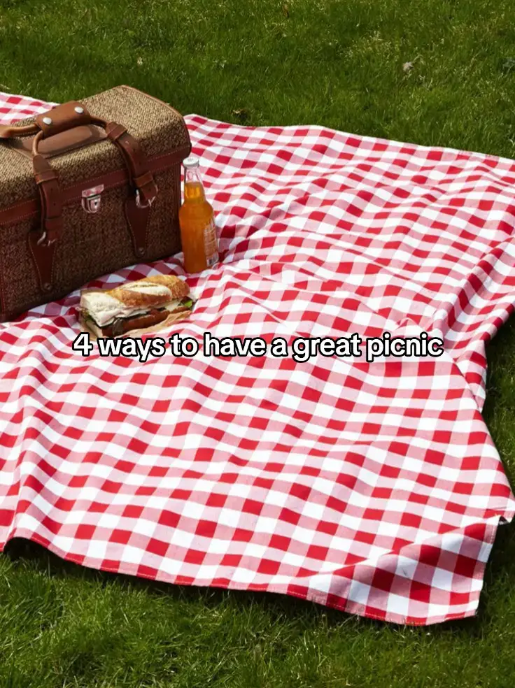 4 ways to have a great picnic: #kpopfyp #fyp #fypage #fypシ゚ #fyppppppppppppppppppppppp #foryoupage #blowthisup #stanseventeen #seventeen #seventeen17_official #mingyuseventeen #mingyu #hearmeout #kimmingyu 