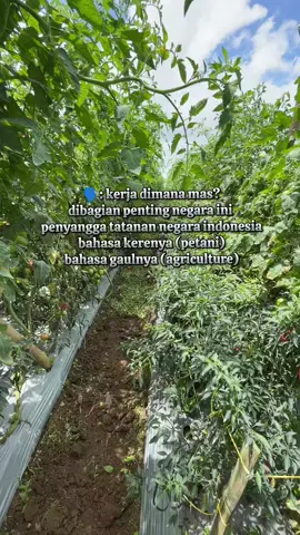 Nikmati Proses🌱🌿 #agriculture #petaniindonesia🇮🇩🇮🇩🇮🇩🌿🌿 #petanimuda #petani  #tmblazer  #petanimilenial #kementan #masukberandafyp   @pikil 